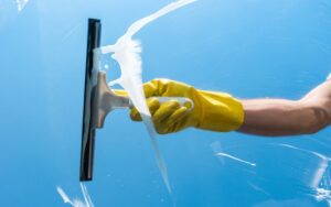 Window Cleaning Service