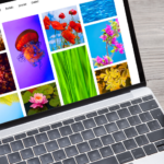 How to Find Inspiration for Your WordPress Blog Branding Elements