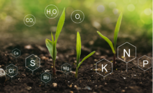 Nutrient Management