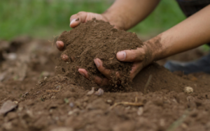 Soil Supplements