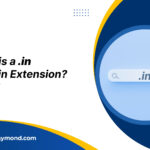 What-is-a-.in-Domain-Extension