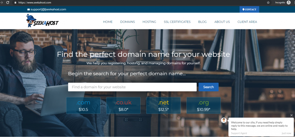 find-a-domain-name-at-seekahost-to-create-a-website