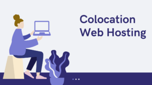 colocation web hosting