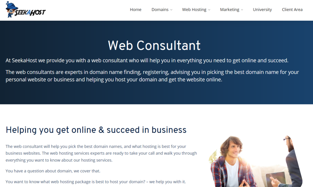 web-consutling-business-model