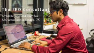 seo-consulting