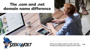 com-vs-.net-domains