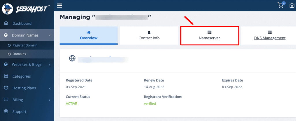 details-and-how-to-change-the-domain-nameserver-on-seekahost.app-portal