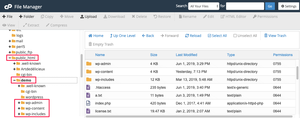 public html cpanel