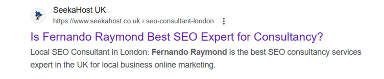 Fernando-Raymond-uses-SEO